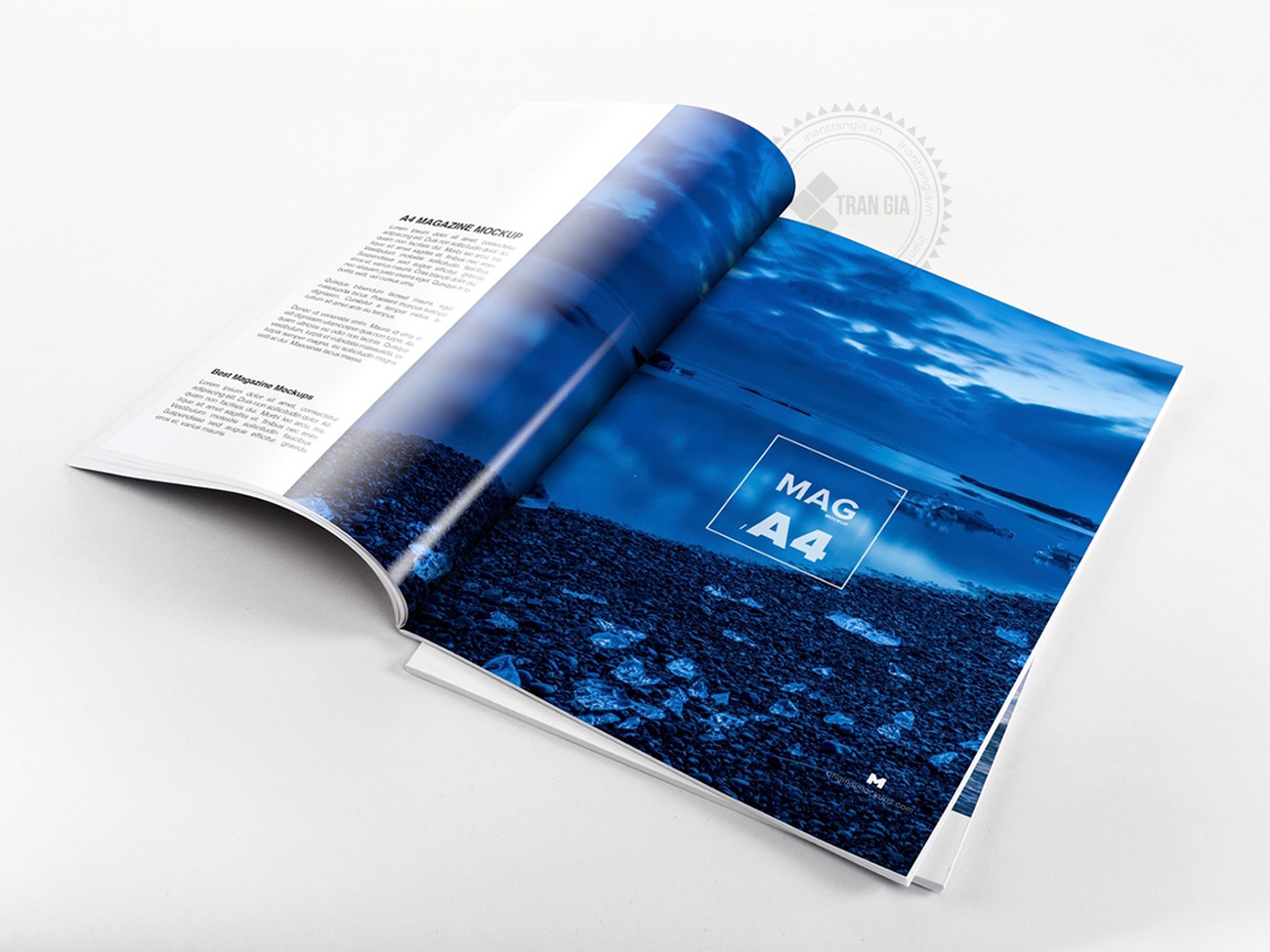 In Nhanh Hcm 248 Mẫu Catalogue Đẹp